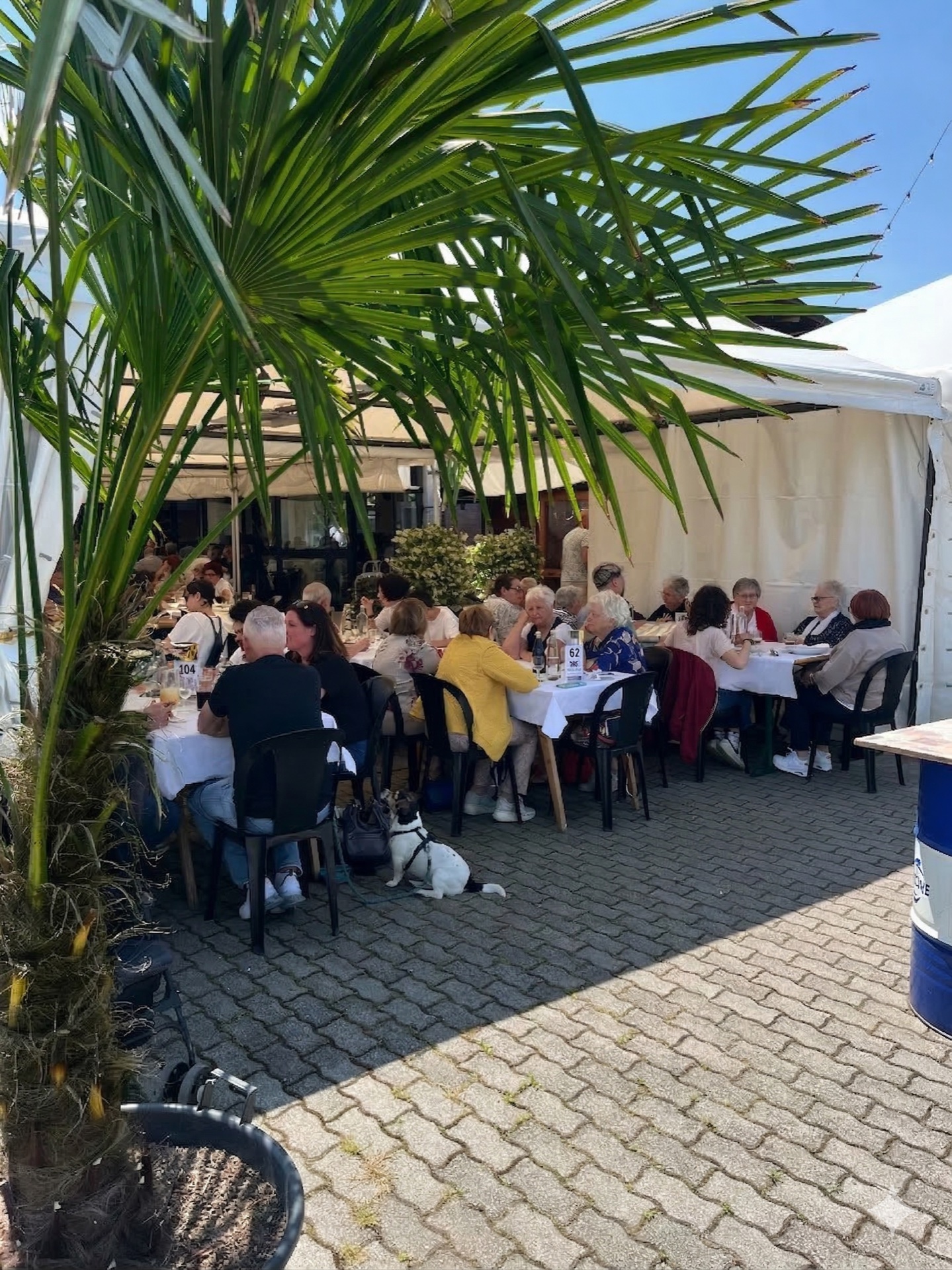 Sagra del Tortellino